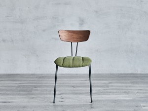 Chaise de salle à manger rembourrée avec dossier en polywood